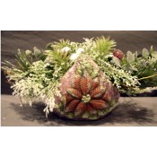 Poinsettia Basket mold