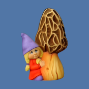 Lil Gertie Girl Gnome with Mushroom Mold