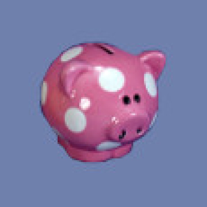 The Magic Piggy Bank