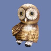 Female Owl Mold