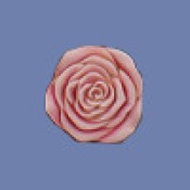 Six Pack Rose Mold