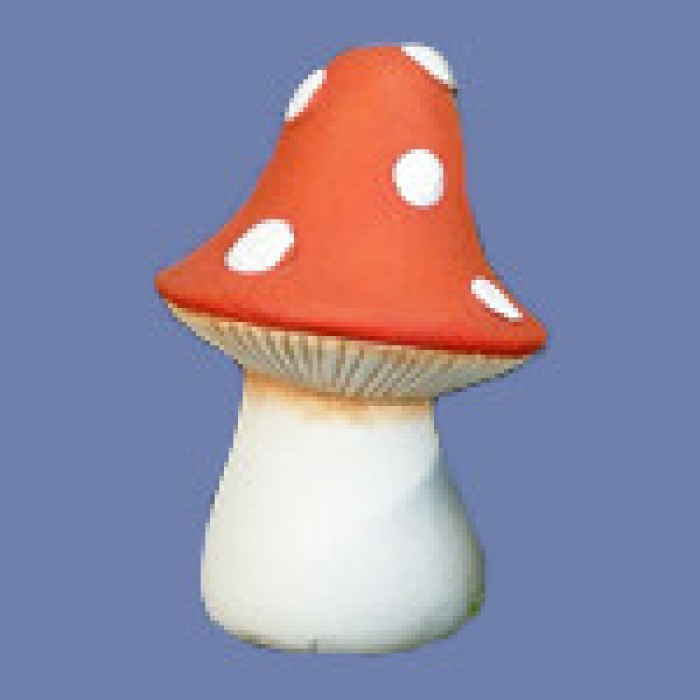 Mushroom Molds