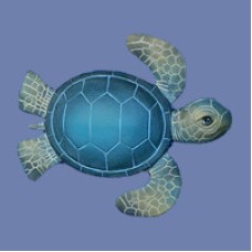 Clay Magic 3851 Extra Small Sea Turtle Mold