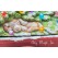 Clay Magic 4291 Kitten (and puppy) Christmas Lid for Pickup Mold