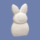 Small 2 Pack Marshmallow Bunny