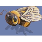 Lg. Bumblebee