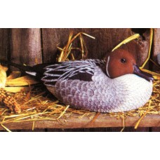 Dona 0553 Pintail Duck Mold