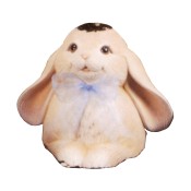 "Burrow-N" Bunny Mold