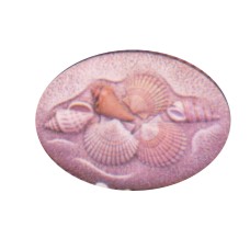 Dona 1603 Seashell Seasons Insert Mold