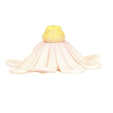 Dona 1645 Daisy Parasol Mold