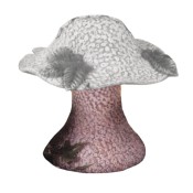 6" Mushroom Stem