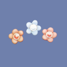Dona 0242 3-Soft Sculpture Flower Magnets Mold