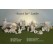 Dona 0967 "Sweet Tot" Lamb Accessories Mold