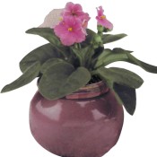 Small African Violet Pot mold
