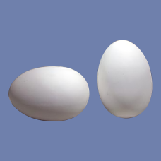 HK 091 Eggs Mold
