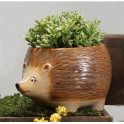 Element Hedgehog Planter
