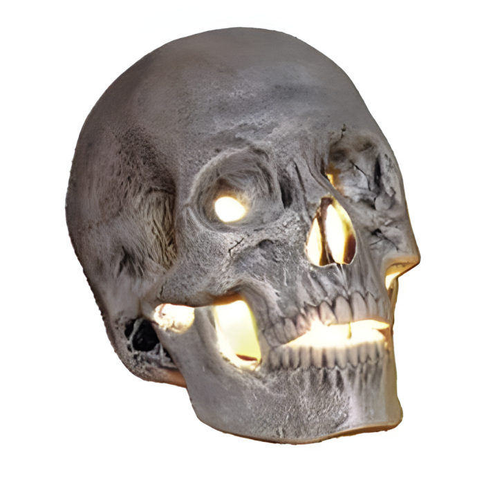 nowel_0750_upscaled-700x700.png