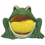 Frog Brillo Mold