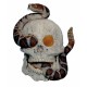 Skull and Snake 5.25" Mold