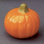 Pumpkin Mold