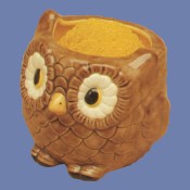 Owl Choreboy mold