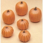 Small Pumpkins (6 per) Mold