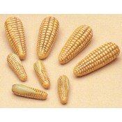 Small Corn (8 per) Mold