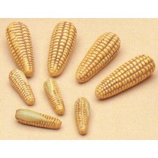 Riverview 294 Small Corn (8 per) Mold