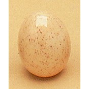 Eggs-Hole in End (6 per) Mold