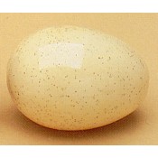 Eggs-Hole in Side (4 per) Mold