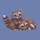 Raccoons mold