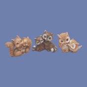 Squirrels, Raccoons, Owls mold