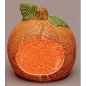 Medium Open Faced Pumpkin Mold