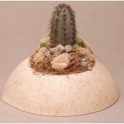 Medium Cactus Planter Mold