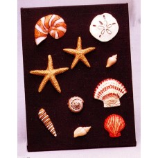 Riverview 1001 Seashell Magnets Mold