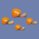 Small Mushrooms Mold