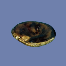 Ross 539 Catchers Mitt Mold