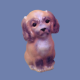 Dog Mold