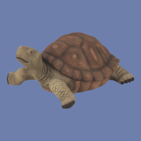 Extra Large Turtle mold