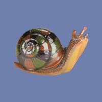 Small Snail Mold