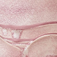 Pink Calcite