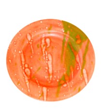 Colors For Earth CGE592 Tangerine Stone Glaze (Pint)