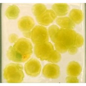 Yellow Green Crystal Glaze Additive (1 oz.)