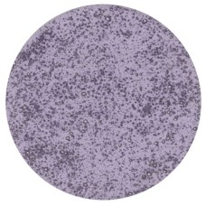 Colors For Earth DLS436 Purple Designer Lava Stone (Pint)