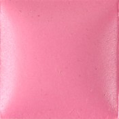 Miami Pink (8 oz.)