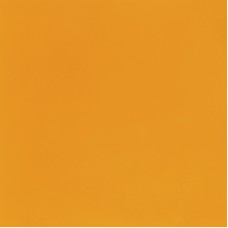 Mayco FN-16 Harvest Orange Foundations Opaque Glaze (Pint)