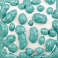 Turquoise Moon Rocks (pint) Ritual Glaze