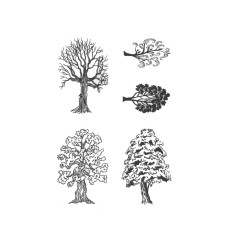 Trees 1 Designer Silk Screen
