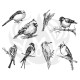 Aviary - Small Birds Designer Silkscreen