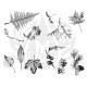 Botanical - Leaves Designer Silkscreen